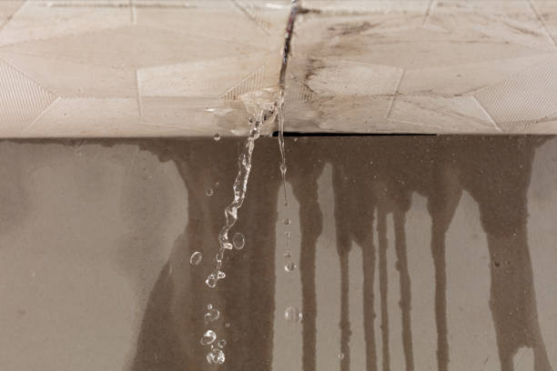 Professional Water Damage Repair technician working in Colon, MI